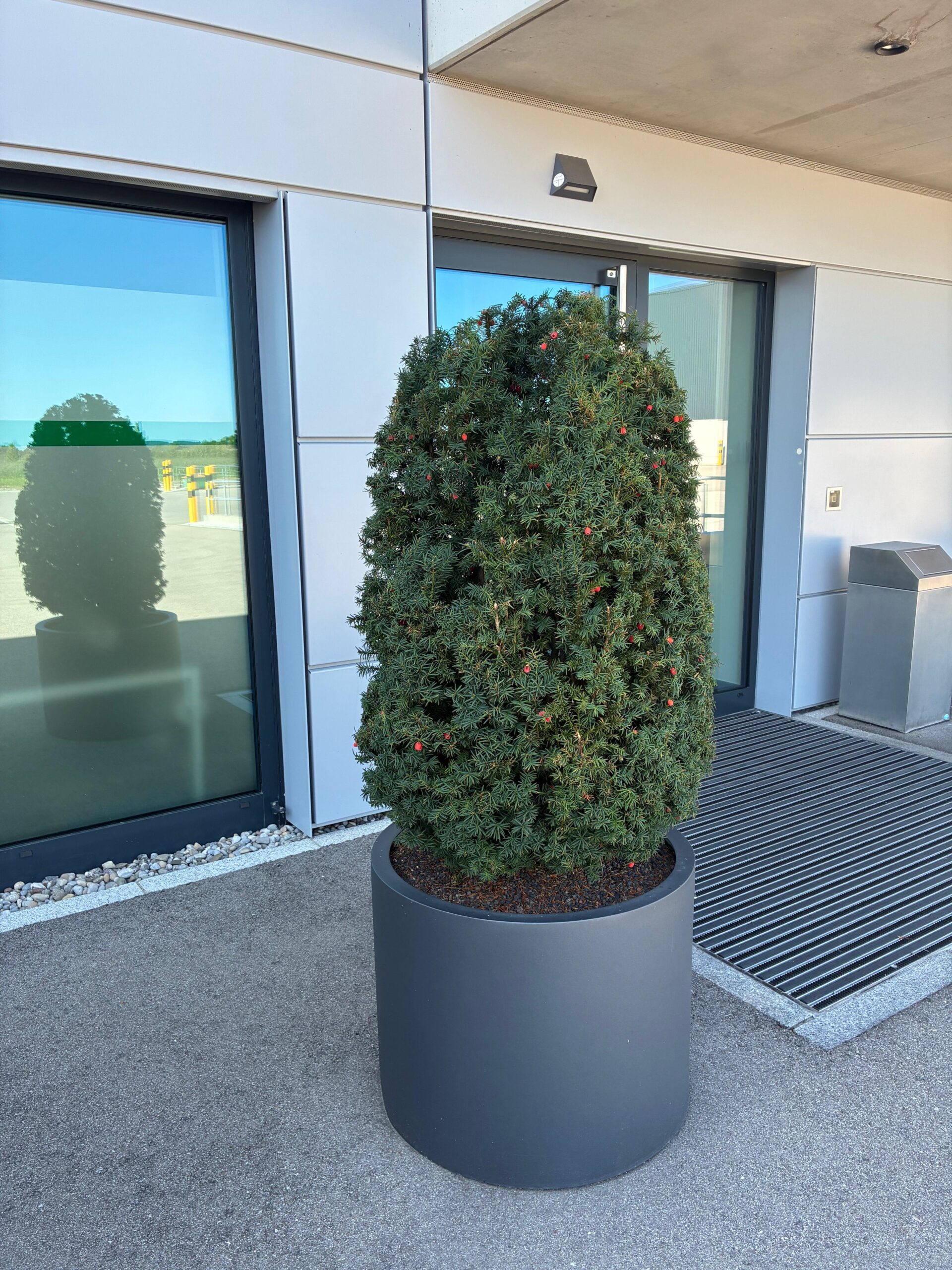 gartensilber-zylinder-pflanzgef-aus-aluminium image 3