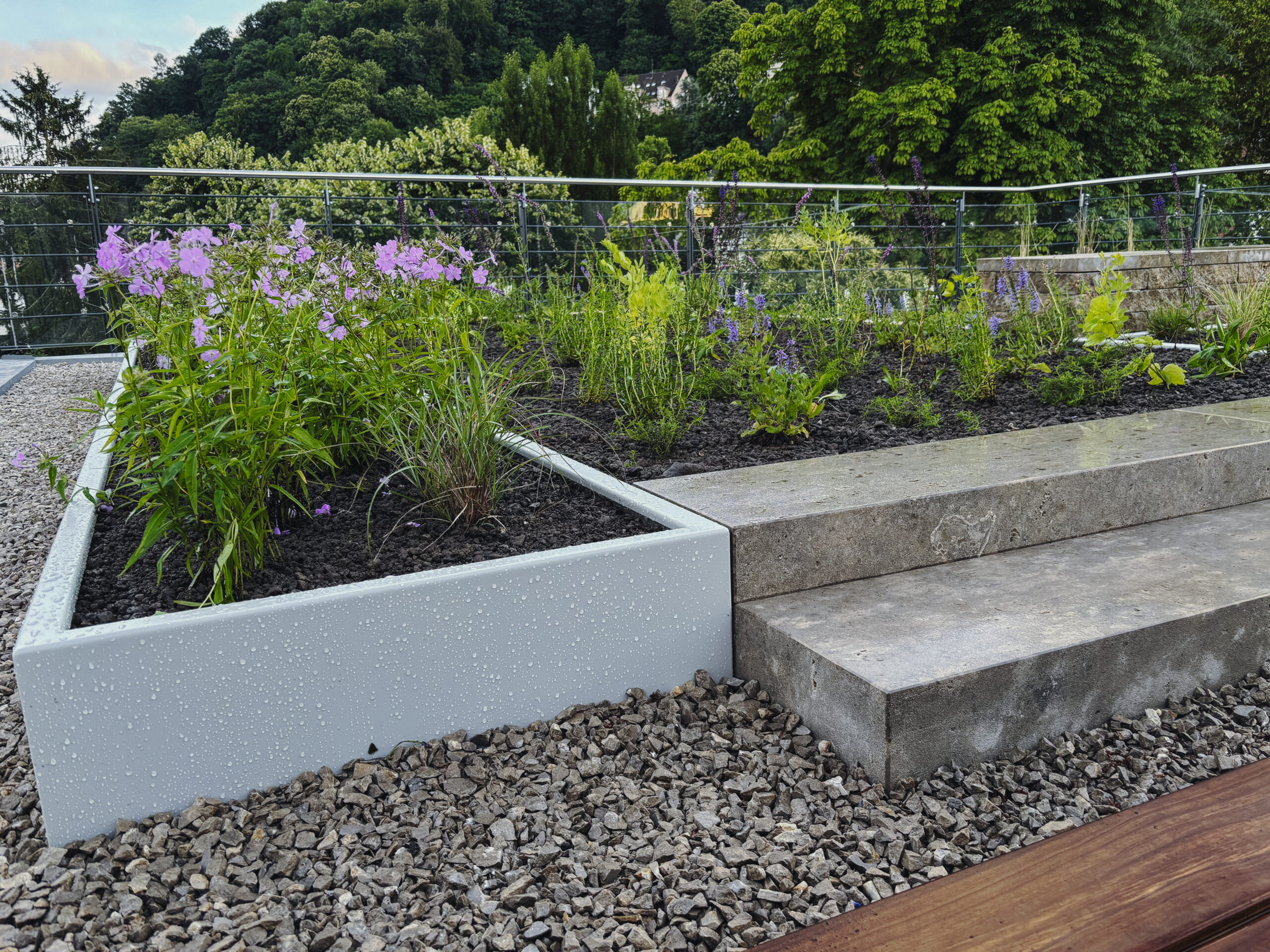 gartensilber-beet-hochbeet-f-r-garten image 5