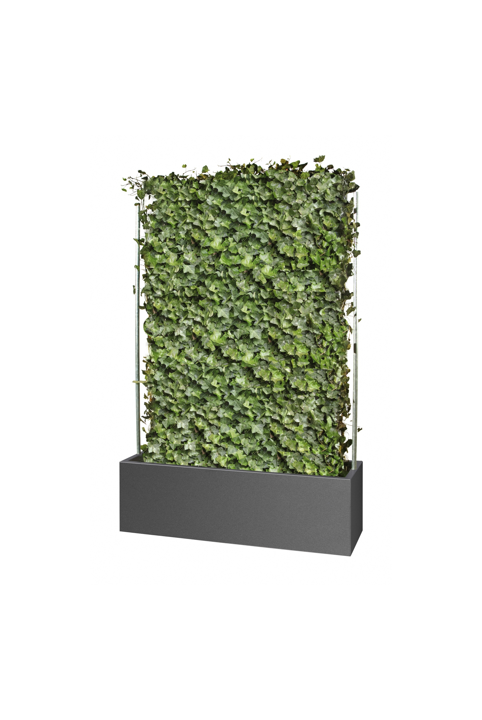 gartensilber-quader-f-r-fertighecken-sichtschutz-pflanzgef image 1