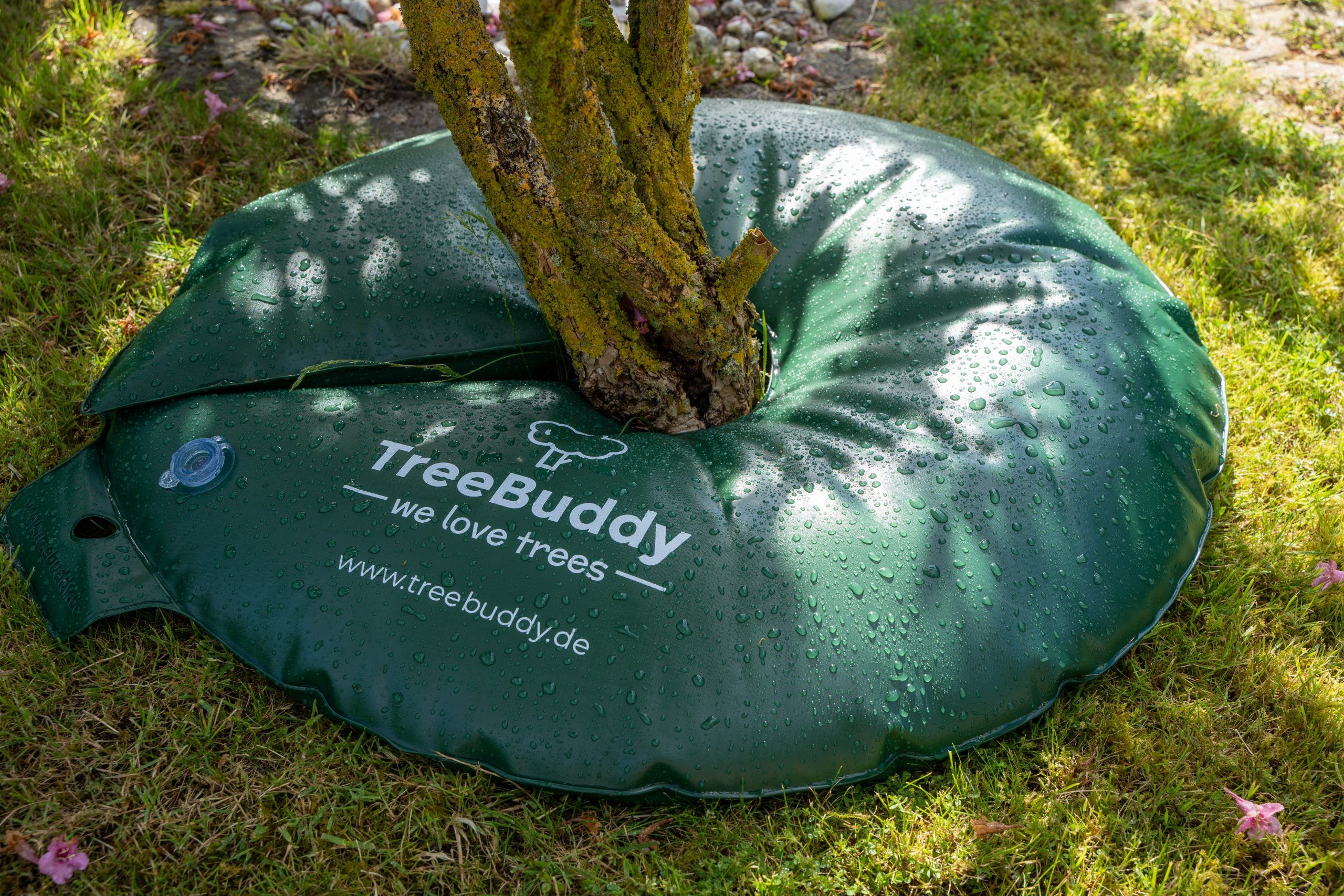 treebuddy-ring-baumbew-sserungsring image 2