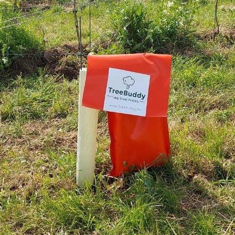 winebuddy-bew-sserungssack-f-r-weinbau-10er-pack image 2