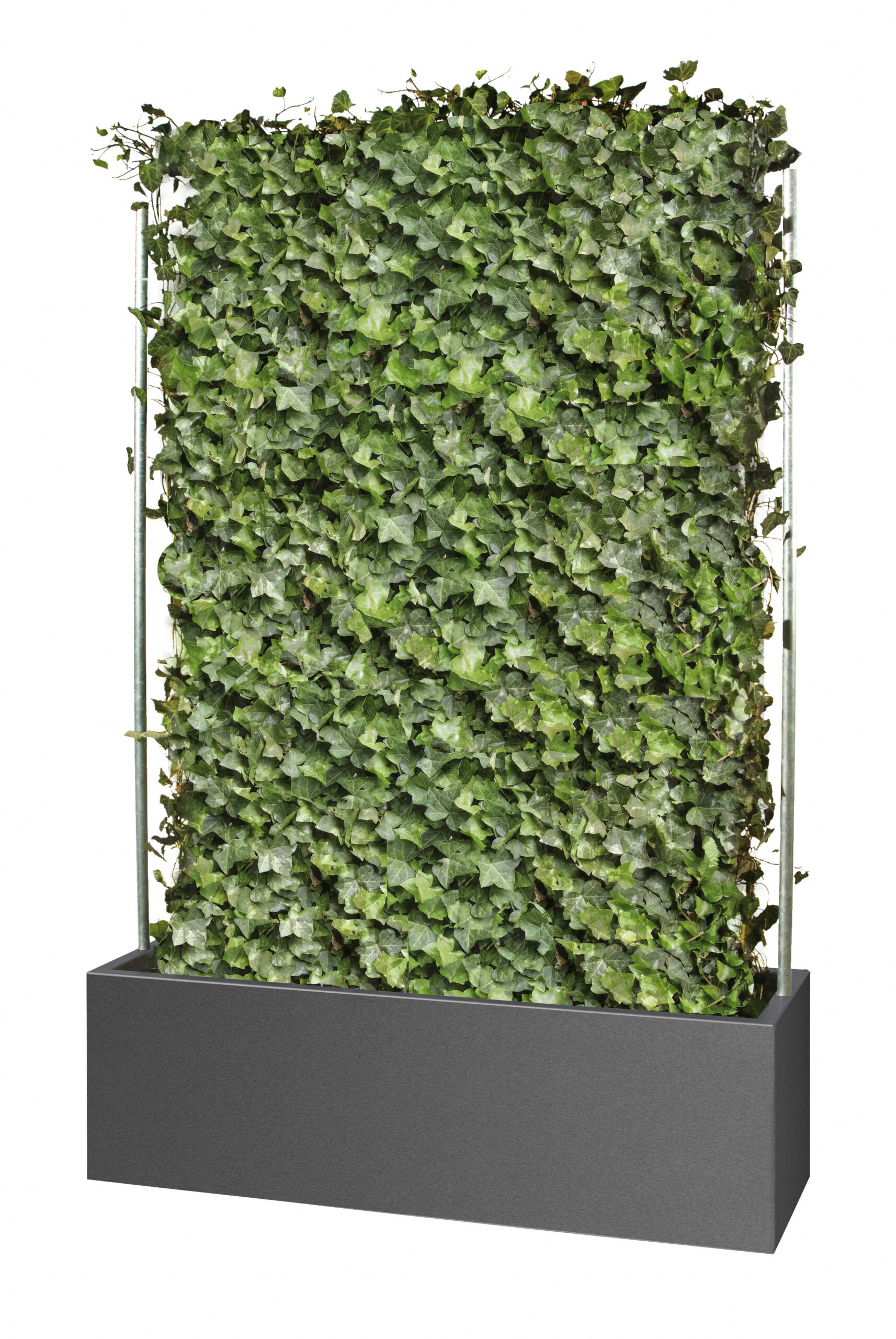 gartensilber-quader-f-r-fertighecken-sichtschutz-pflanzgef image 2