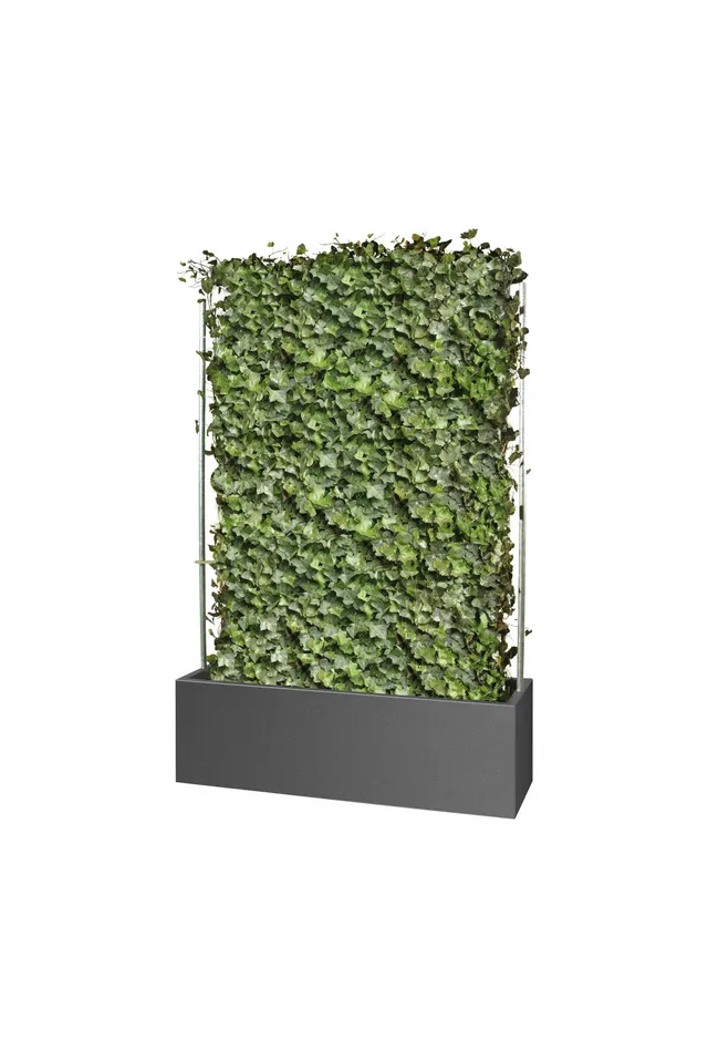 gartensilber-quader-f-r-fertighecken-sichtschutz-pflanzgef image 1