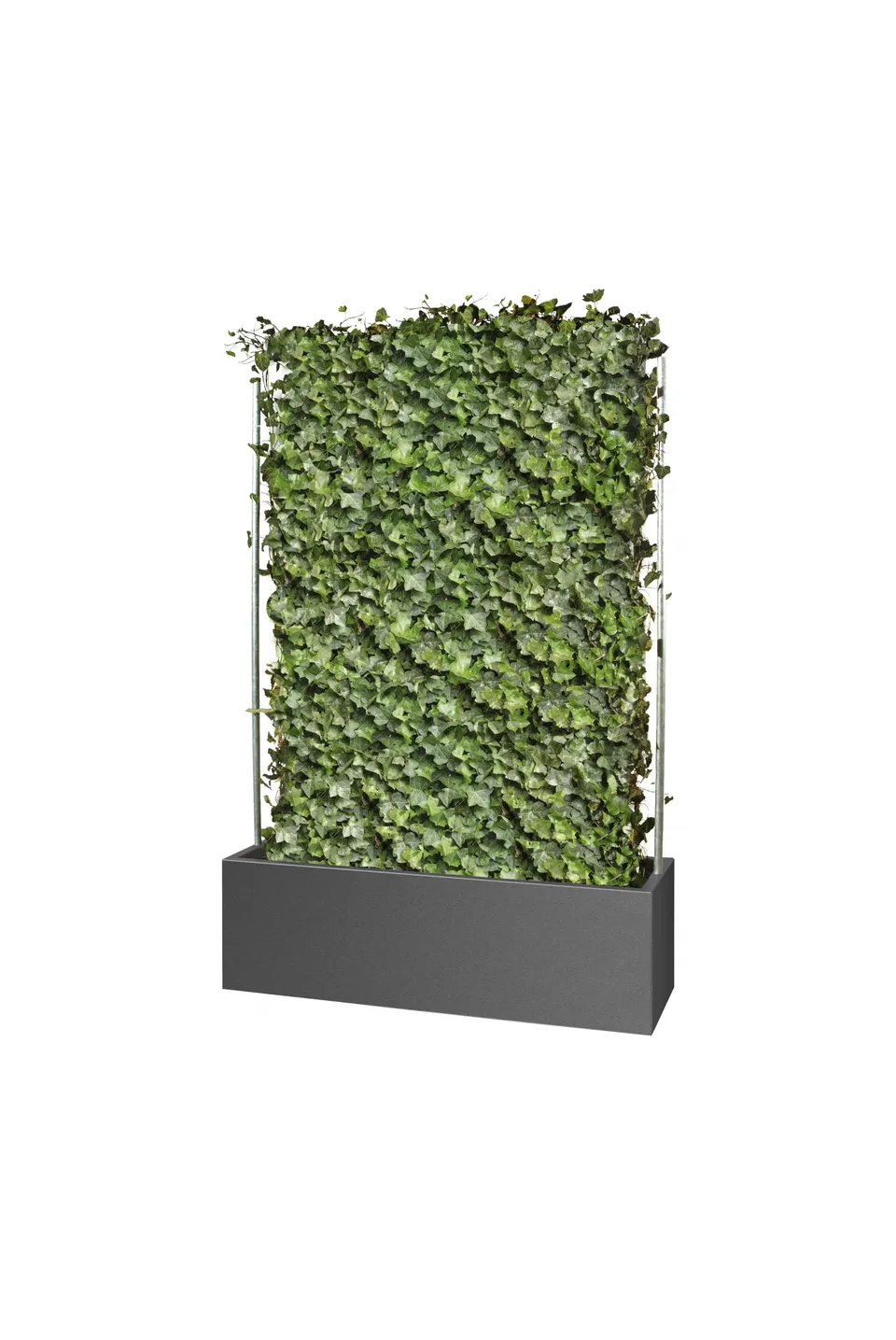 gartensilber-quader-f-r-fertighecken-sichtschutz-pflanzgef image 1