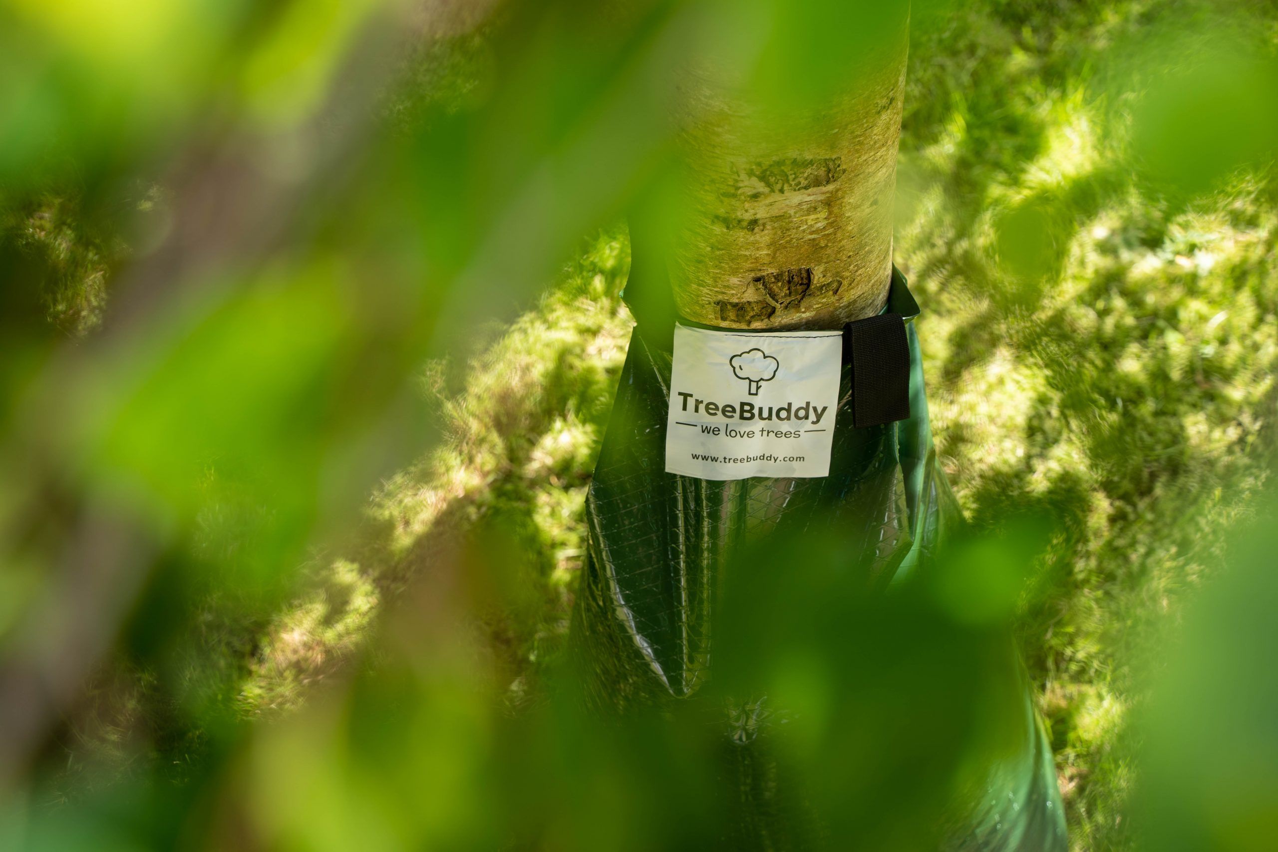 treebuddy-pe-bew-sserungssack-75-liter-10-st-ck image 4
