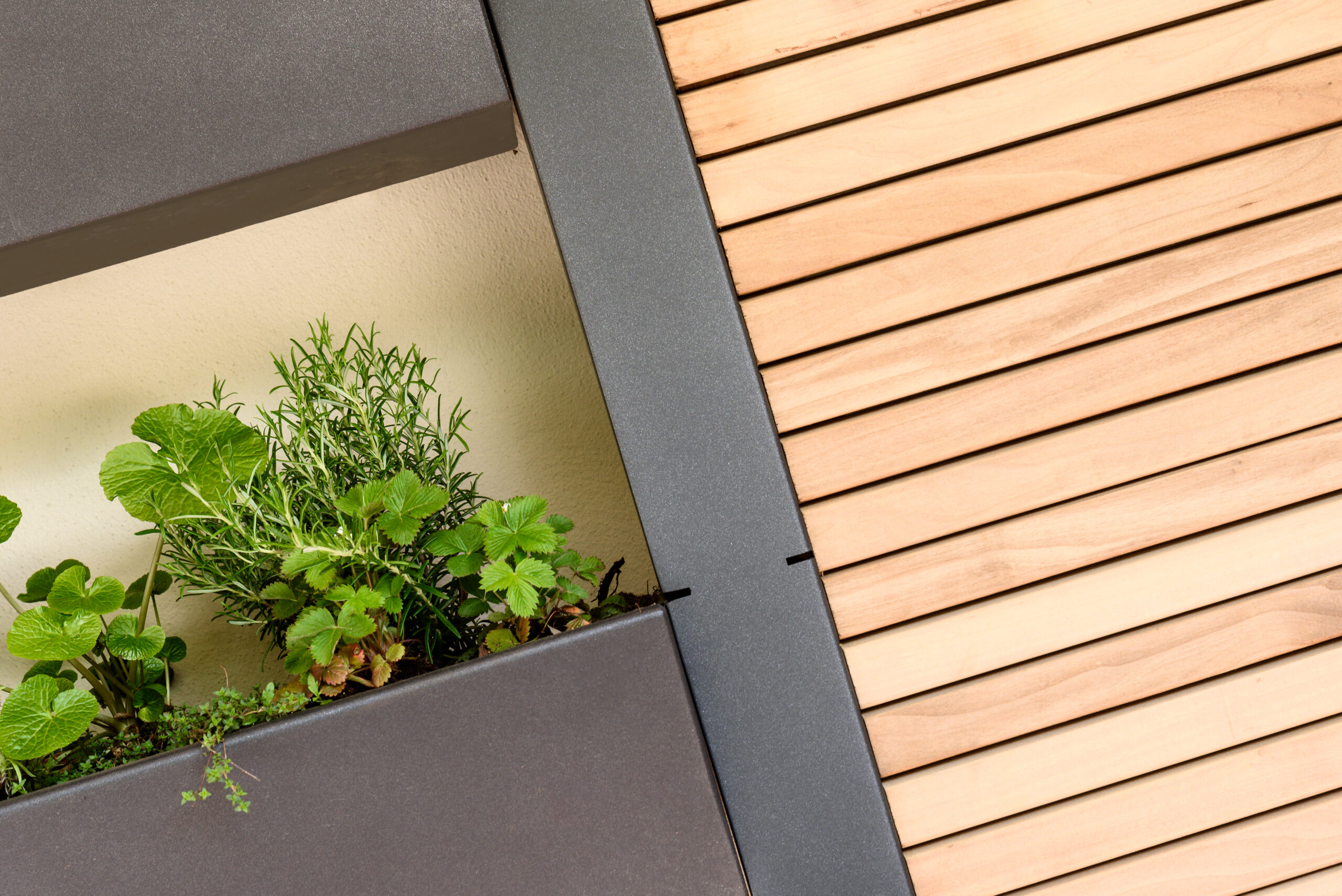 gartensilber-vertikalgarten-mit-tr-gen-und-thermoesche-sichtschutz image 3