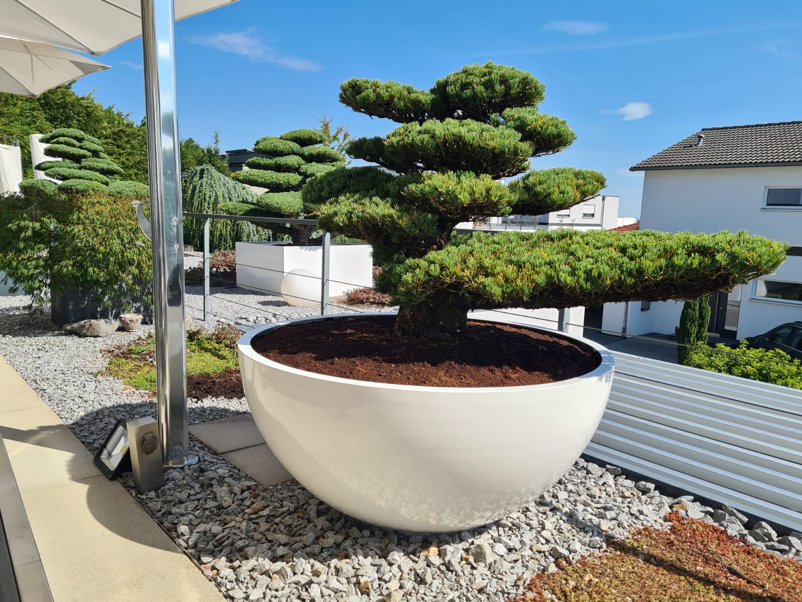 gartensilber-halbkugel-pflanzgef-aus-aluminium image 3