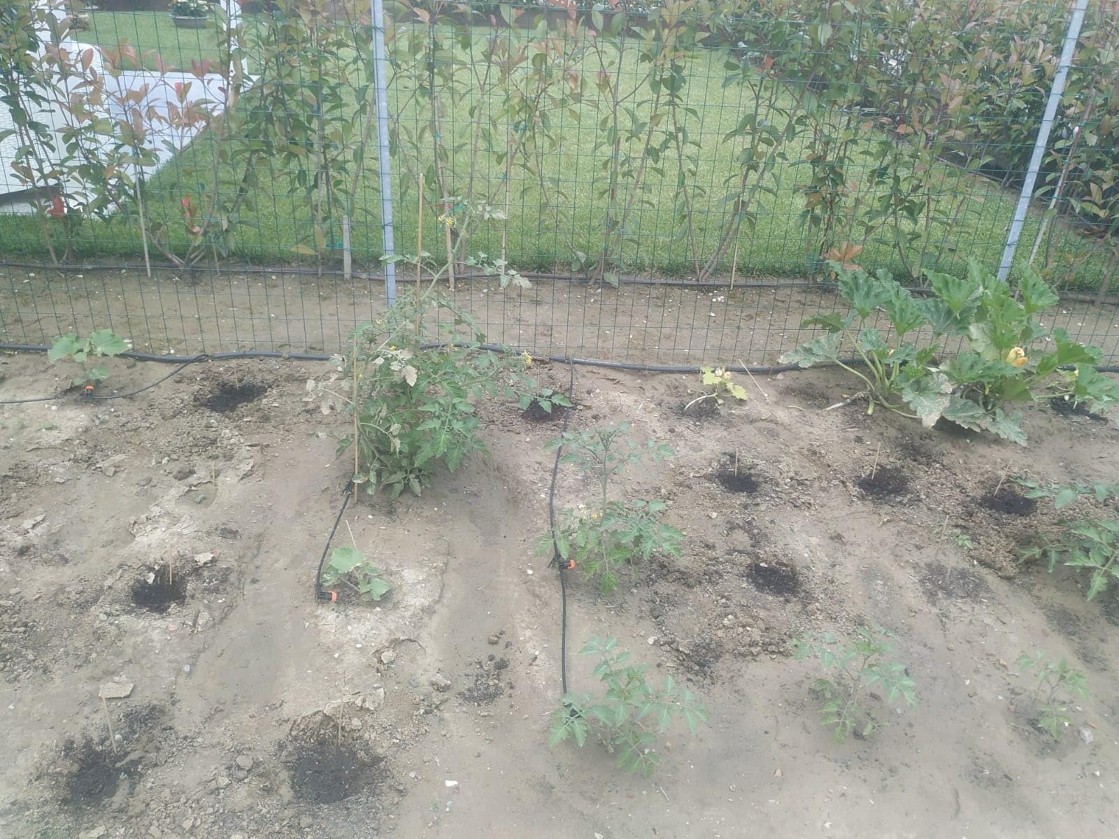 Perfekt für meine Terrasse